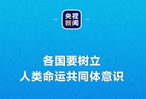 習(xí)近平：每個(gè)國(guó)家都想過(guò)上好日子，現(xiàn)代化不是哪個(gè)國(guó)家的特權(quán)