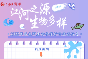 科普海報｜江河之源多樣的水生野生動物世界