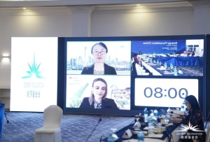 聚力COP27 “加強氣候傳播 促進公眾參與能源轉型”專題研討會成功舉行