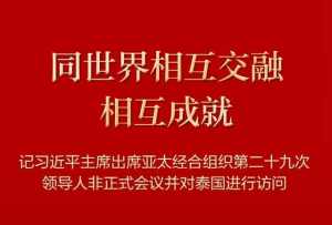 同世界相互交融相互成就——記習近平主席出席亞太經合組織第二十九次領導人非正式會議并對泰國進行訪問