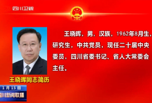 四川省第十四屆人民代表大會(huì)常務(wù)委員會(huì)主任王曉暉同志簡歷