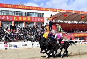 喜迎藏歷新年 精彩“馬”上到