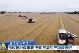 【在希望的田野上】搶收搶種保豐收 各地三夏生產穩(wěn)步推進