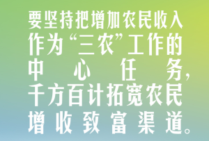 習言道｜讓農民挑上“金扁擔”