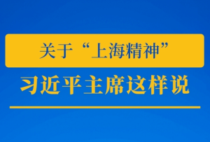 推動上合組織發展，習近平主席這樣說