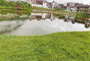 林芝市發展生態旅游業助農牧民增收致富