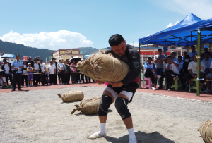 迭部縣第五屆安多地區“臘子口杯”則巴邀請賽開賽