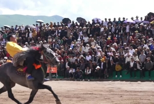 看馬兒“競走” 這個夏季來甘孜縣體驗走馬之旅