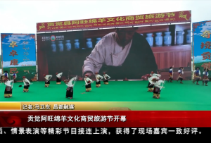 貢覺阿旺綿羊文化商貿旅游節開幕