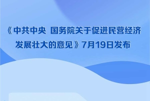 一圖速覽《中共中央 國務院關于促進民營經濟發展壯大的意見》