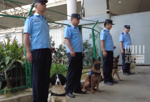 護航大運會 成都東站的“汪汪隊”出動了