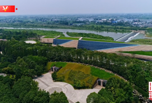 時政現場說丨走進三星堆 感受中華文明之美