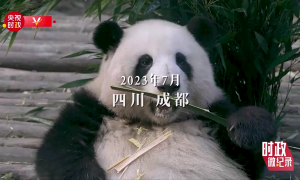 時(shí)政微紀(jì)錄丨習(xí)近平的大運(yùn)會(huì)時(shí)間
