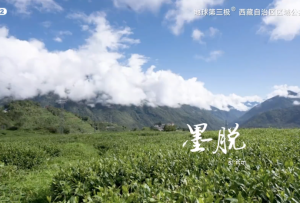 地球第三極亮相央視丨“品牌興藏”之路再獲“億點”成就