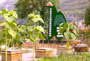 甘南：特色產(chǎn)業(yè)繪就鄉(xiāng)村振興新圖景