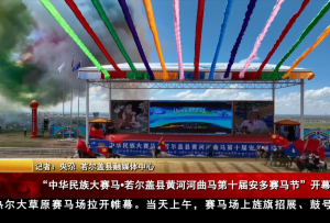 “中華民族大賽馬?若爾蓋縣黃河河曲馬第十屆安多賽馬節(jié)”開幕