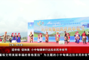 迎豐收 促和美 小中甸鎮(zhèn)舉行達(dá)拉農(nóng)民豐收節(jié)