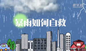 暴雨來襲，我們該如何自救