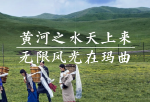 黃河之水天上來  無限風光在瑪曲