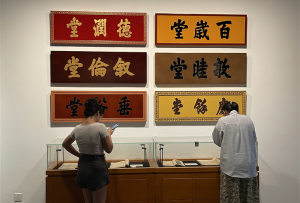 探尋文化脈絡 省圖上新“巴蜀家譜文化展”