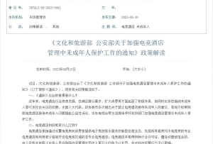 《文化和旅游部 公安部關于加強電競酒店管理中未成年人保護工作的通知》政策解讀