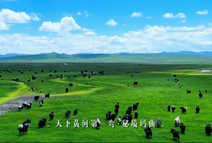 天下黄河第一弯·秘境玛曲