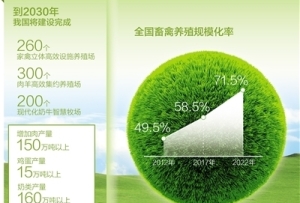 我國(guó)畜禽規(guī)模化設(shè)施化養(yǎng)殖穩(wěn)步發(fā)展優(yōu)質(zhì)肉蛋奶豐富