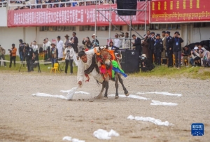 西藏那曲恰青賽馬節開幕