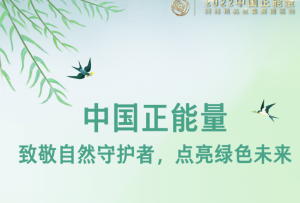 中國正能量：致敬自然守護者，點亮綠色未來