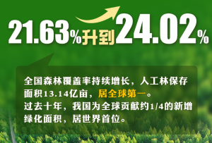 首個“全國生態(tài)日”來了！一組數(shù)據(jù)帶你看美麗中國新畫卷