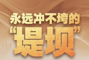 永遠沖不垮的“堤壩”——獻給投身抗洪救災的勇毅前行者