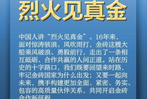 推動金磚合作，習(xí)近平主席金句盡顯中國智慧