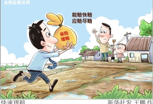 新華視點｜助力防汛救災和災后重建 保險如何更好發揮作用？