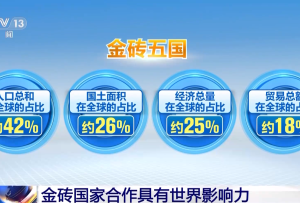我國與金磚國家經貿合作成績亮眼 具有世界影響力