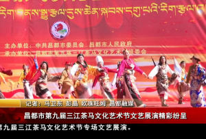 昌都市第九屆三江茶馬文化藝術節文藝展演精彩紛呈