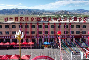 青海都蘭探索“路衍經(jīng)濟(jì)”：司機(jī)滿(mǎn)意 群眾致富
