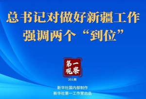 第一觀察丨總書記對做好新疆工作強調兩個“到位”