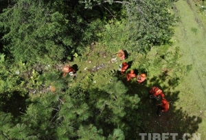 “橙色”志愿隊守護南伊溝的綠水青山