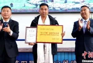 西藏日土：讓中國好羊絨“絨”耀世界