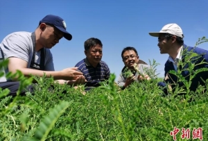 青海將150種藏醫(yī)醫(yī)療機(jī)構(gòu)中藥飲片納入醫(yī)保支付范圍