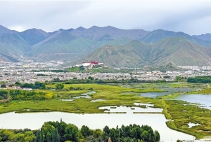 走進拉魯濕地國家級自然保護區——打卡“拉薩之肺” 共享生態之美