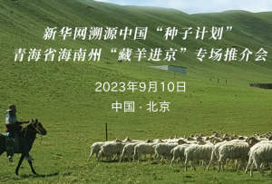 青海省海南州“藏羊進(jìn)京”專場推介會倒計時3天