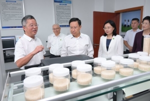 王曉暉黃強看望慰問教師 向全省廣大教師和教育工作者致以節日祝賀和親切問候