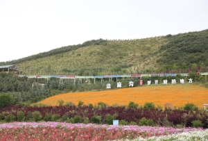 高質量發展調研行丨“窮溝溝”變身“金窩窩”——生態旅游擦亮青海大通綠色發展底色