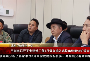玉樹市召開平安建設工作8月督辦排名末位單位集體約談會議