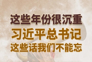 學(xué)習(xí)進行時｜這些年份很沉重，習(xí)近平總書記這些話我們不能忘