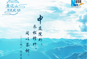 景邁山申遺成功 這些愛茶的古人坐不住了！