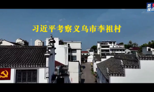 第1視點｜習近平考察義烏市李祖村