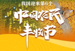 新華社權(quán)威快報丨我國迎來第6個中國農(nóng)民豐收節(jié)