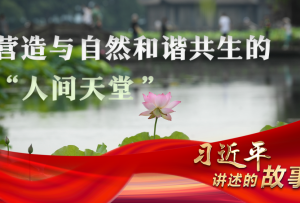 習近平講述的故事丨營造與自然和諧共生的“人間天堂”